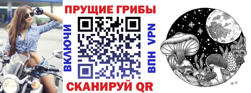 Псилоцибиновые грибы ЛСД  Саранск 