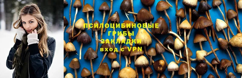 Псилоцибиновые грибы ЛСД  Саранск 